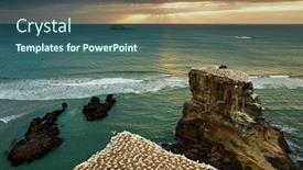  Presentation with new zealand - Colorful slide set enhanced with gannet colony muriwai beach new zealand backdrop and a ocean colored foreground
