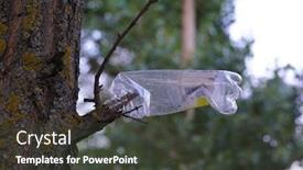  Presentation with plastic bottle pollution - PPT layouts featuring garbage-and-pollution-plastic-bottle background and a dark gray colored foreground