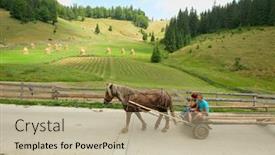  Presentation with horse riding - 