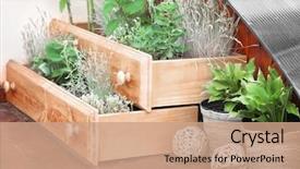  Presentation with waste - Beautiful PPT theme featuring garden - beautiful flowerbed made of shelves backdrop and a coral colored foreground