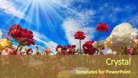  Presentation with illuminated - Slides enhanced with garden - blue sky and light clouds background and a tawny brown colored foreground