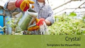  Presentation with senior care - Colorful presentation design enhanced with garden - closeup portrait of senior man backdrop and a gold colored foreground