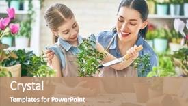  Presentation with mother child - Colorful theme enhanced with garden - cute child girl helping her backdrop and a coral colored foreground