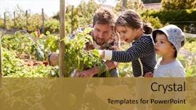  Presentation with father - Theme consisting of garden - father and children looking background and a gold colored foreground