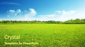  Presentation with perfect - Amazing slide deck having garden - field of spring flowers backdrop and a tawny brown colored foreground