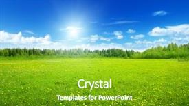  Presentation with jasmine spring flowers - Beautiful PPT layouts featuring garden - field of spring flowers backdrop and a shamrock green colored foreground