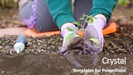  Presentation with gardening - Theme featuring garden - gardening background and a tawny brown colored foreground