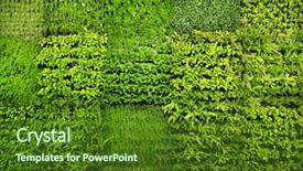  Presentation with wall - PPT theme with garden - green wall background and a tawny brown colored foreground