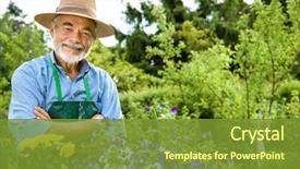  Presentation with container gardening - Audience pleasing PPT layouts consisting of garden - portrait of senior man gardening backdrop and a tawny brown colored foreground