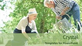 Presentation with senior couple - Audience pleasing PPT theme consisting of garden - senior couple gardening together backdrop and a mint green colored foreground
