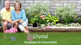  Presentation with home gardening - Beautiful presentation theme featuring garden - smiling happy elderly seniors couple backdrop and a tawny brown colored foreground
