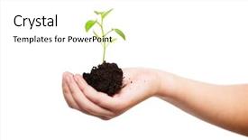  Presentation with children hands - Presentation enhanced with sprout in children's hands background and a white colored foreground