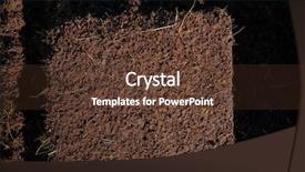  Presentation with home garden - Slide deck having garden agriculture coconut fiber background and a tawny brown colored foreground