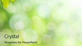  Presentation with focus - Amazing presentation design having house in broken wall with backdrop and a light gray colored foreground.