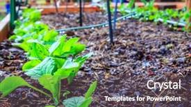  Presentation with irrigation - Slide set featuring garden bed in spring background and a dark gray colored foreground
