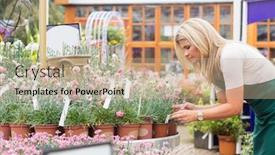  Presentation with flower pots - PPT theme having garden center employee cheking flower pots outside in garden center background and a coral colored foreground