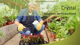  Presentation with plants for kids - Colorful PPT theme enhanced with garden center with plant backdrop and a yellow colored foreground