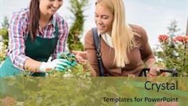  Presentation with give - Theme having garden center worker give advice about roses flowers woman customer background and a gold colored foreground