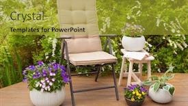  Presentation with pansy - Colorful PPT theme enhanced with garden-chair-on-terrace backdrop and a gold colored foreground