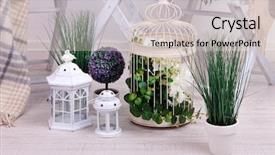  Presentation with lotus flower white water lily - PPT layouts having garden chairs flowers on white background and a soft green colored foreground