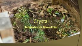  Presentation with compost - PPT layouts enhanced with garden-compost-bin-full background and a tawny brown colored foreground