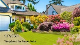  Presentation with flowers - Cool new PPT theme with garden desin - flowers in front backdrop and a gold colored foreground