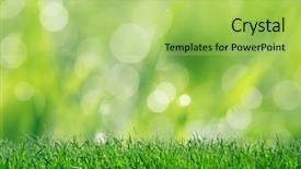  Presentation with focus - Slide set consisting of garden desin - natural green background with selective background and a yellow colored foreground