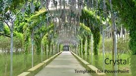  Presentation with road - PPT theme with garden desin - park arch walking road background and a  colored foreground