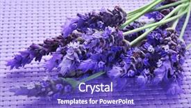  Presentation with lavender flowers - Colorful slide deck enhanced with garden desin - some lavender flowers backdrop and a violet colored foreground