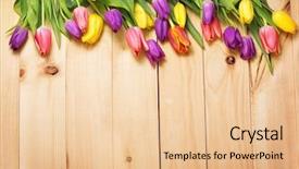  Presentation with invitation - Presentation theme enhanced with garden desin - spring flowers bunch at wood background and a  colored foreground