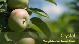  Presentation with eden - PPT theme featuring garden eden - green apples hanging background and a tawny brown colored foreground