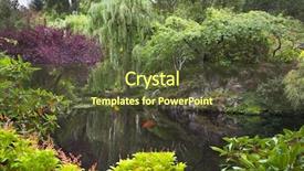  Presentation with garden pond - Colorful slide deck enhanced with garden eden - picturesque pond with the dark backdrop and a tawny brown colored foreground