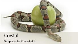  Presentation with eden - Amazing presentation having garden eden - snake coiling around an apple backdrop and a mint green colored foreground