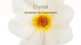  Presentation with dahlia - Slide deck with garden-flower-dahlia-merry-guys background and a lemonade colored foreground