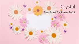  Presentation with frame pink - Cool new slide set with garden-flowers-frame-over-pink backdrop and a lemonade colored foreground