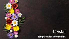  Presentation with top view - Beautiful PPT layouts featuring garden flowers on stone background backdrop and a black colored foreground