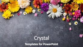  Presentation with flowers border - Colorful PPT theme enhanced with garden flowers over stone table backdrop and a dark gray colored foreground