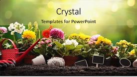  Presentation with plants - Slide deck featuring garden flowers plants and tools background and a blonde colored foreground