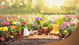  Presentation with plants - Audience pleasing slide set consisting of garden-flowers-plants-and-tools backdrop and a yellow colored foreground