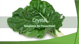  Presentation with swiss chard - Slide deck enhanced with garden fresh silverbeet chard leaves background and a forest green colored foreground