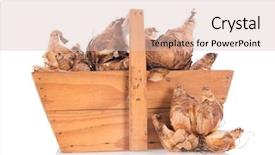  Presentation with harvest - Presentation design having garden full with daffodil flower background and a lemonade colored foreground