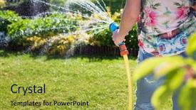 Presentation with gardening - Slide deck having garden hose watering plant background and a yellow colored foreground