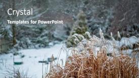  Presentation with garden - Slide set consisting of garden-in-winter-with-hoarfrost background and a gray colored foreground