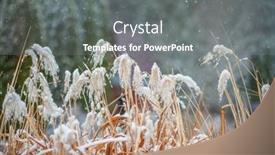  Presentation with garden - Slides enhanced with garden-in-winter-with-hoarfrost background and a gray colored foreground