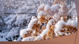  Presentation with garden - Slides having garden-in-winter-with-hoarfrost background and a light gray colored foreground