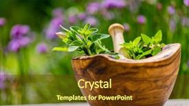  Presentation with olive - Colorful presentation theme enhanced with garden in wooden olive mortar backdrop and a tawny brown colored foreground