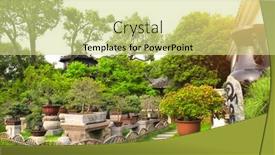  Presentation with bonsai - Slide set with garden-of-bonsai-in-humble background and a soft green colored foreground