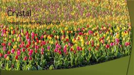  Presentation with czech republic - Slide deck enhanced with garden-of-lednice-palace-czech background and a gold colored foreground