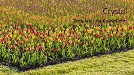 Presentation with czech republic - Amazing PPT theme having garden-of-lednice-palace-czech backdrop and a gold colored foreground