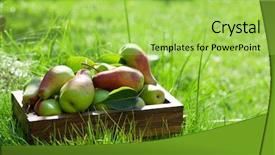  Presentation with sun flare in deep space - Amazing slides having garden pears in wooden box backdrop and a yellow colored foreground